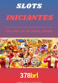 378brl App Interface